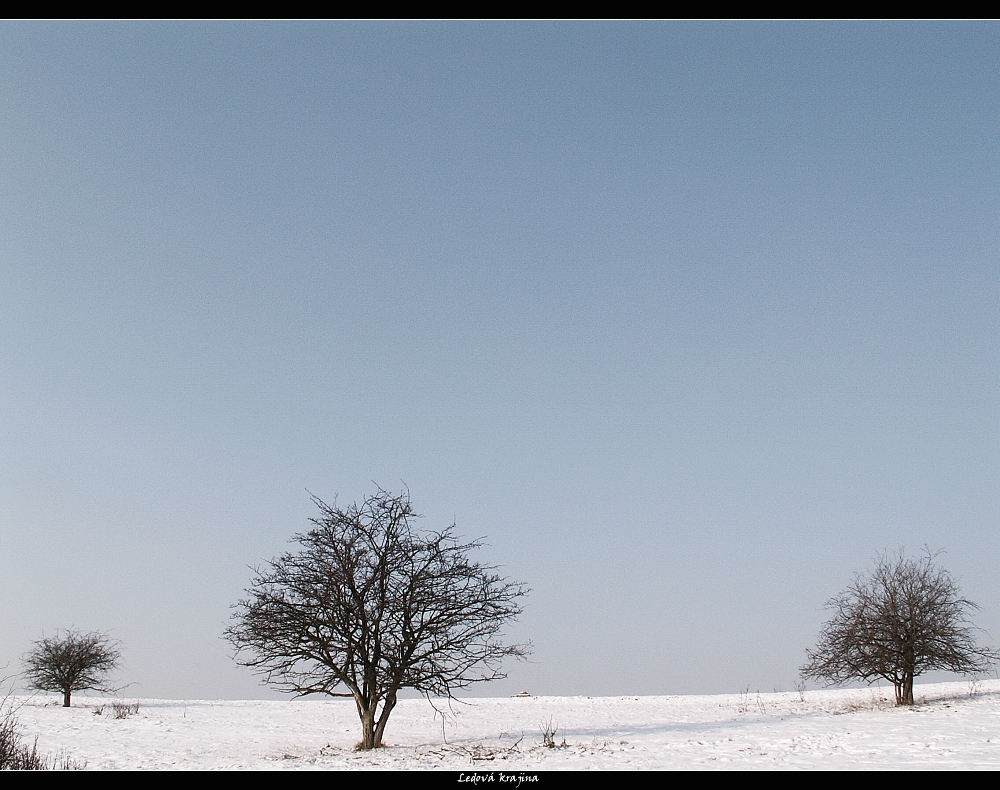 Ledová krajina.jpg