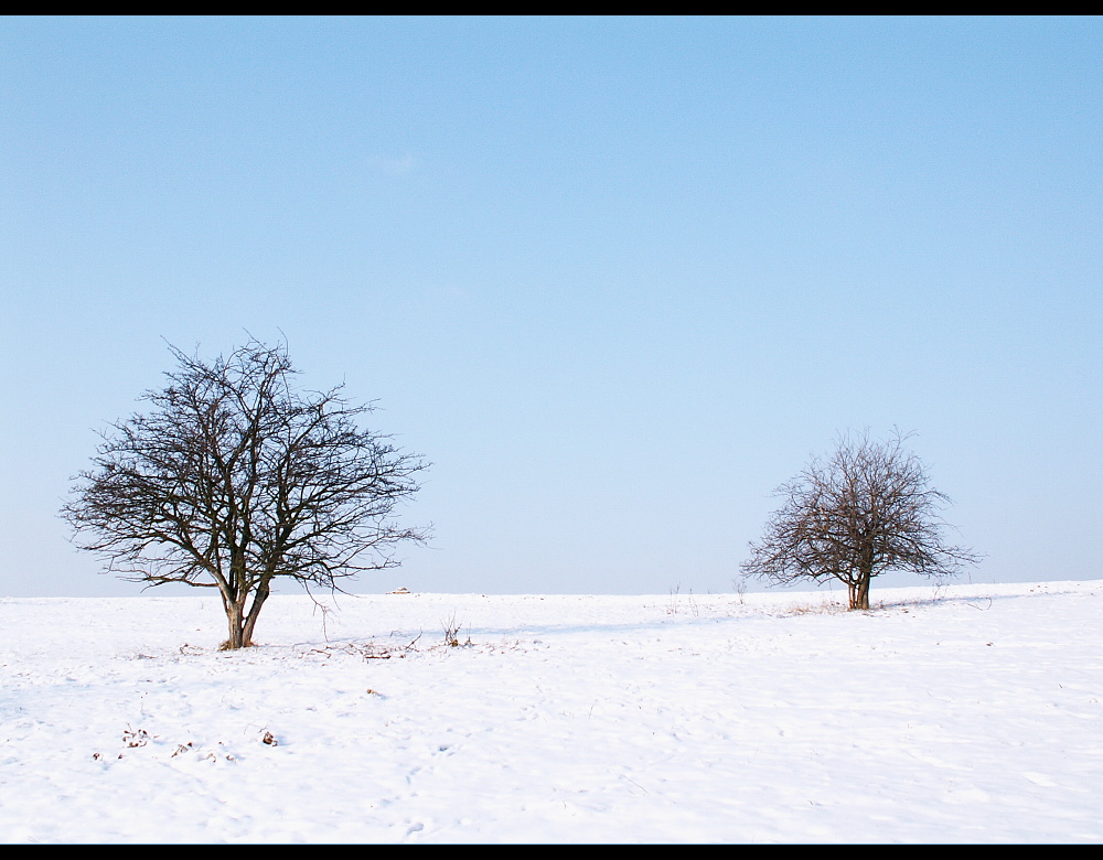 Zimní planina.jpg