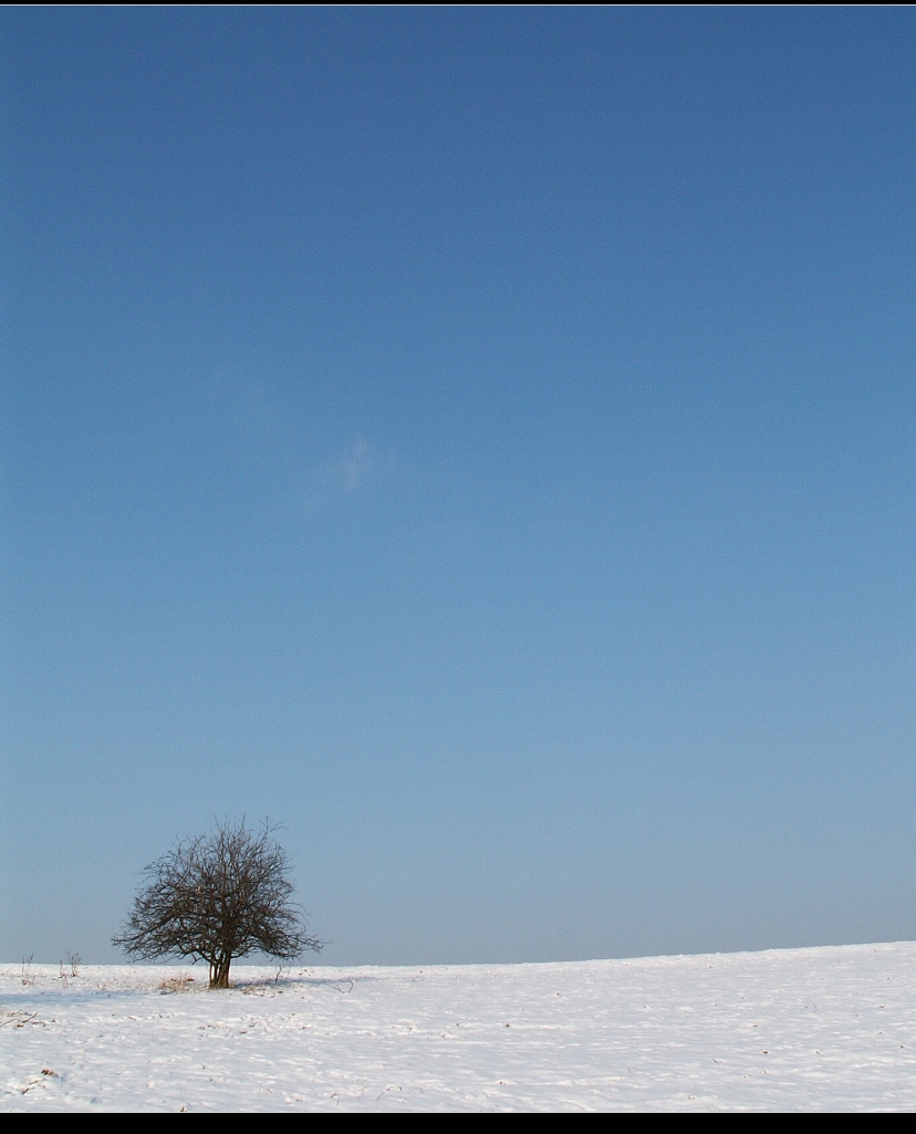 Zimní planina 2.jpg