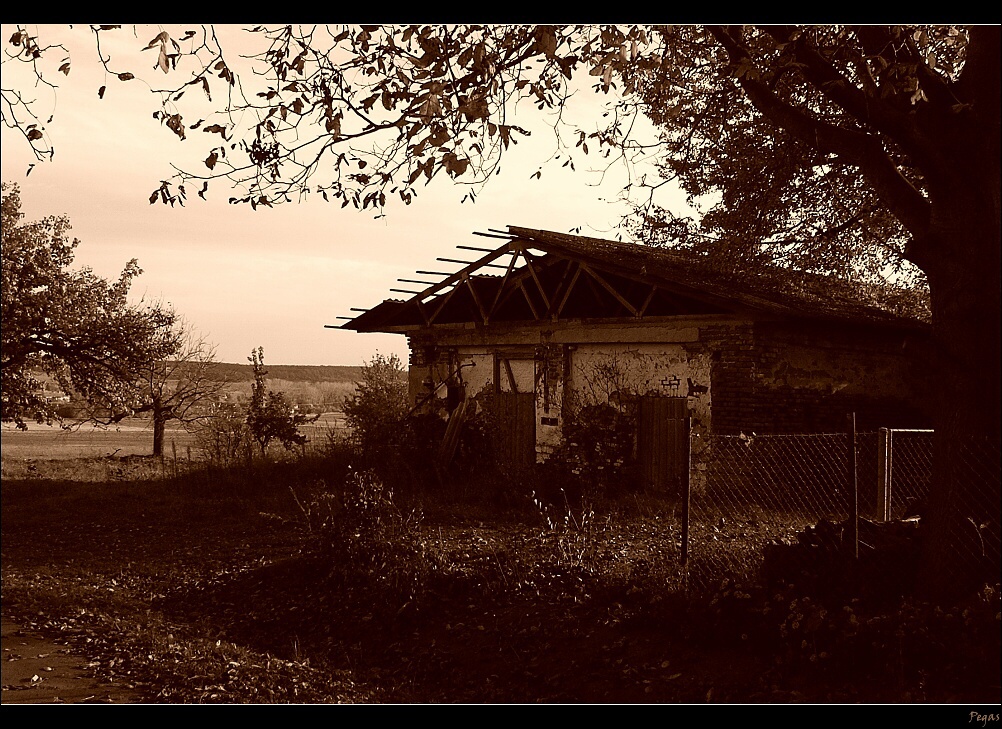 Stavení.jpg