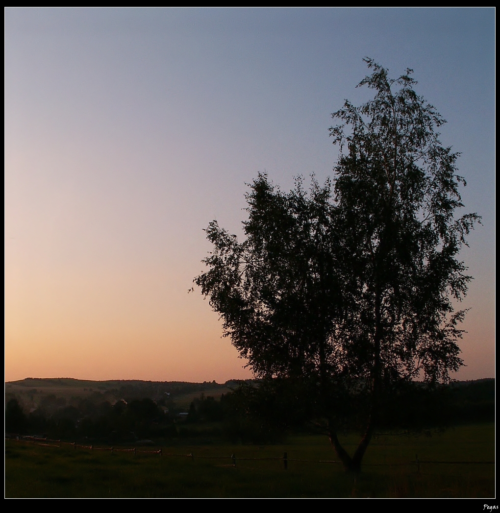Podvečerní motiv.jpg